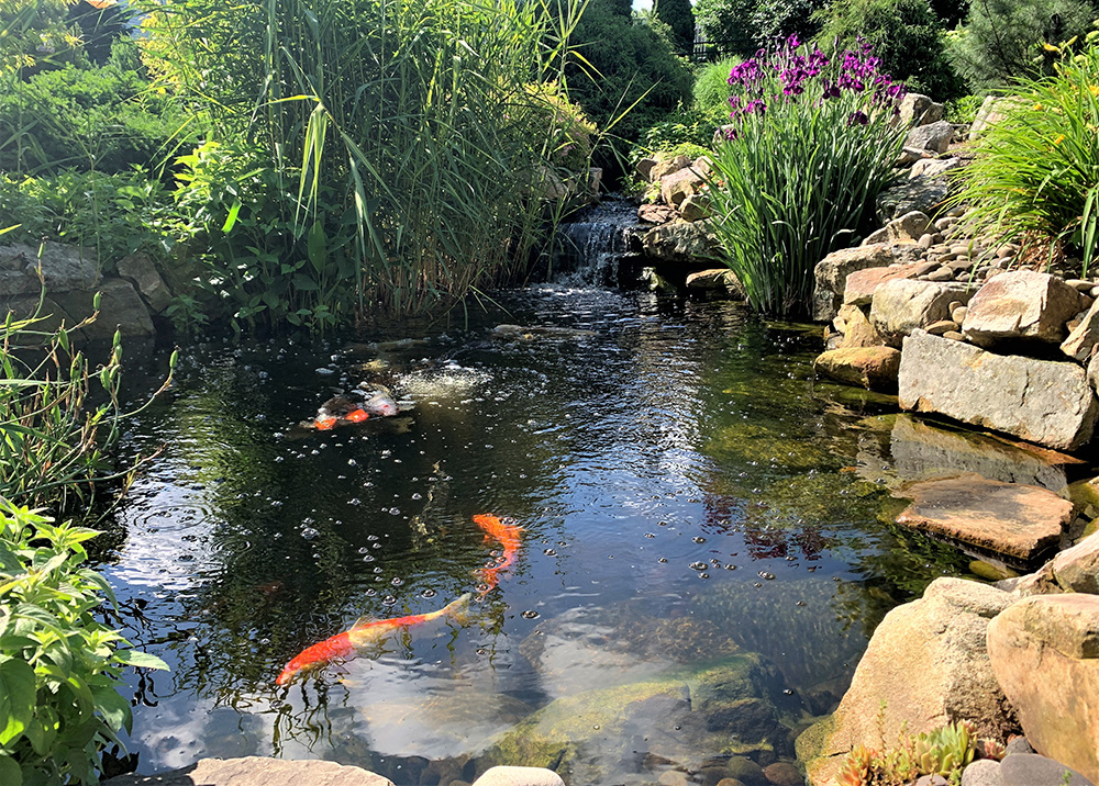 Pond Builder Pennsylvania