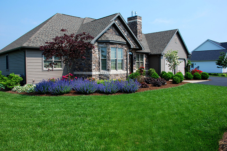 Lawn Fertilization Lewisburg PA