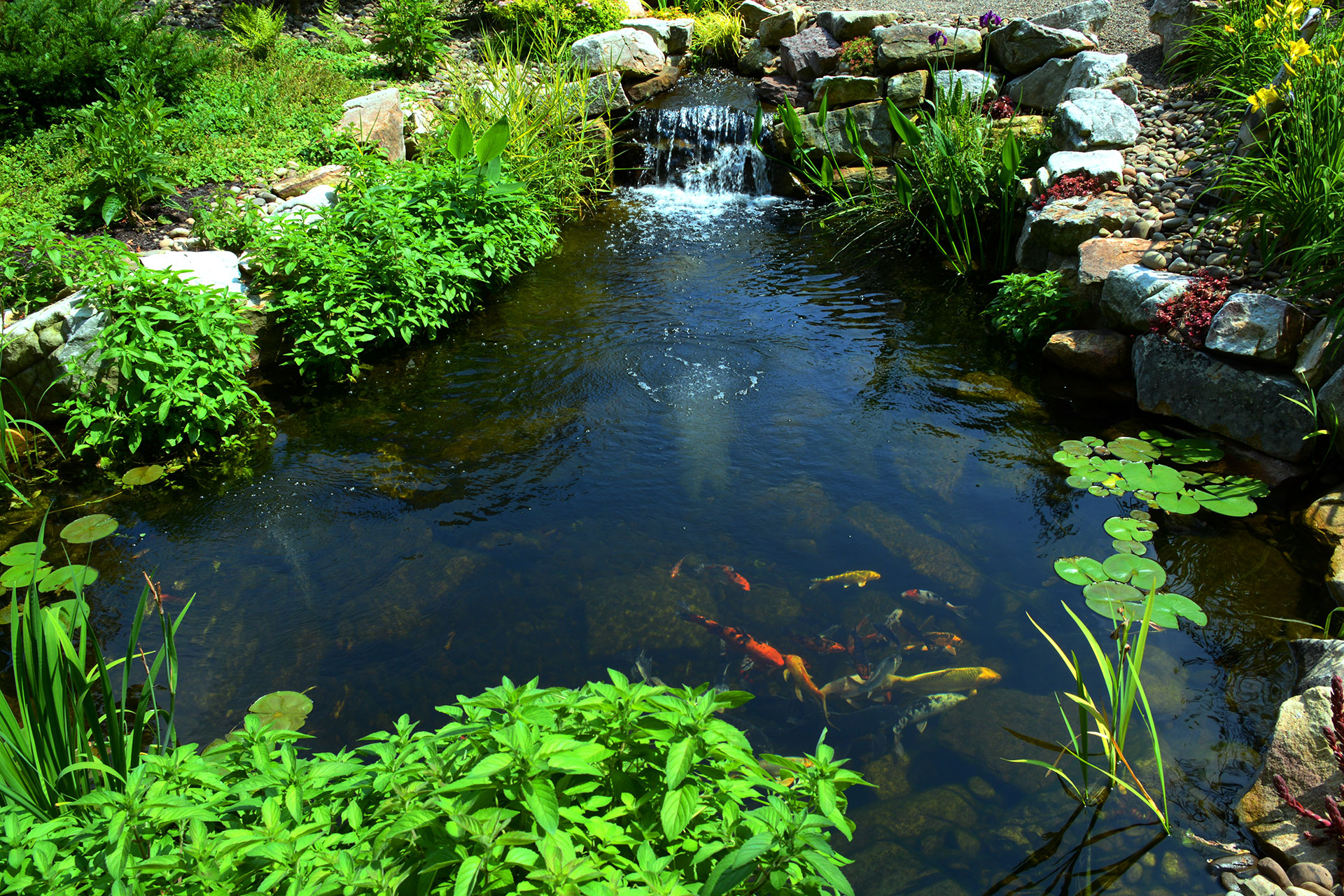 Kio Ponds