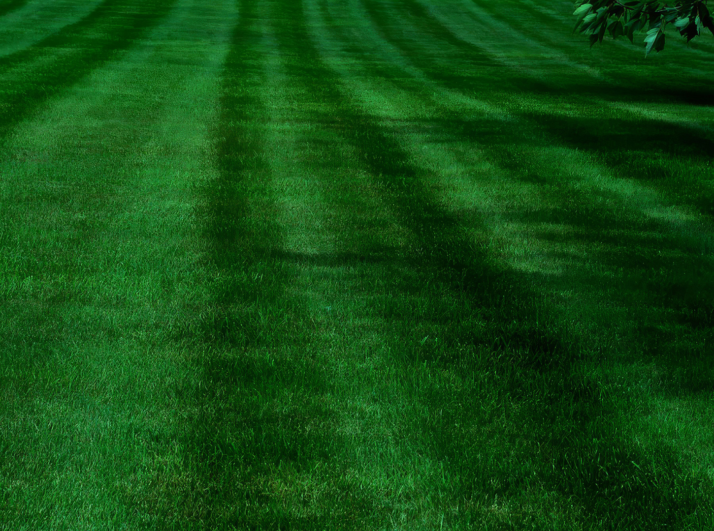 Lawn mowing and yard striping
