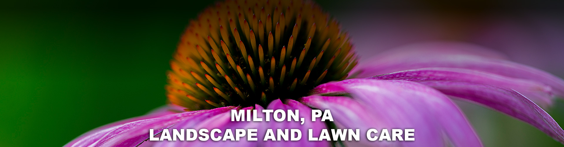 landscapers in Milton pa