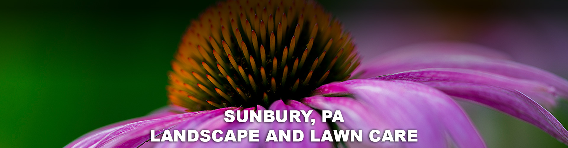 landscapers in Sunbury pa