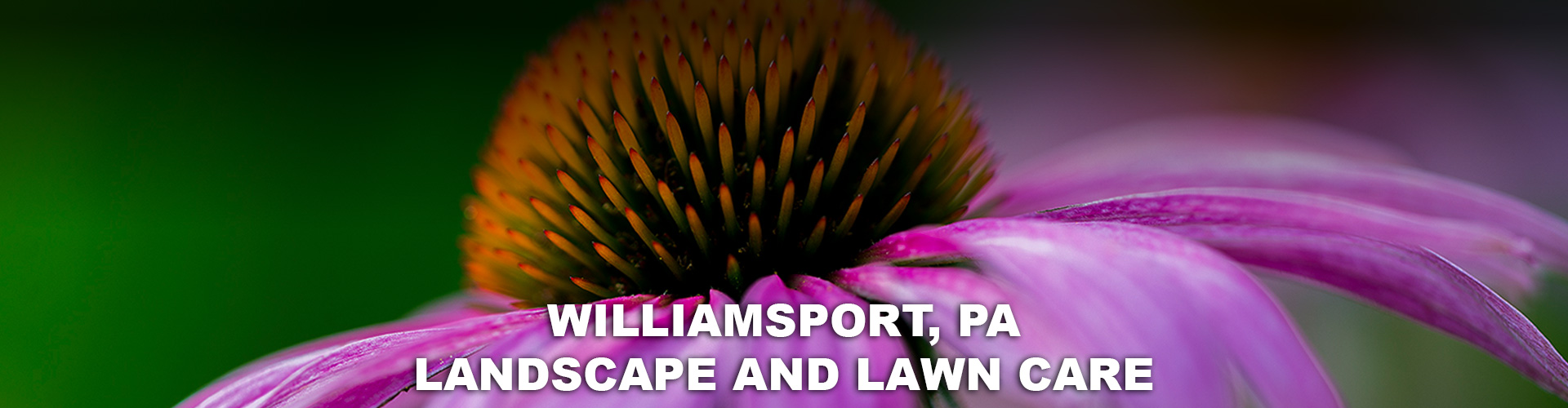 landscapers in Williamsport pa